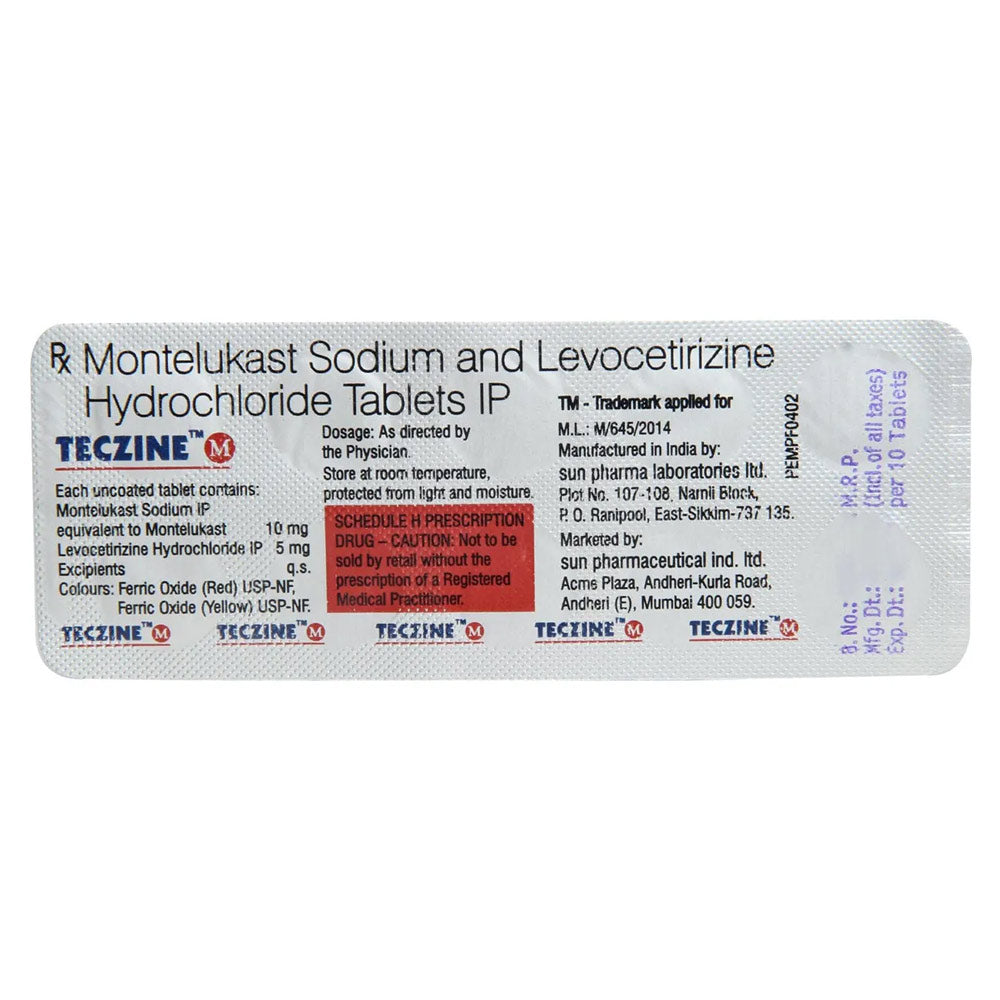 TECZINE M